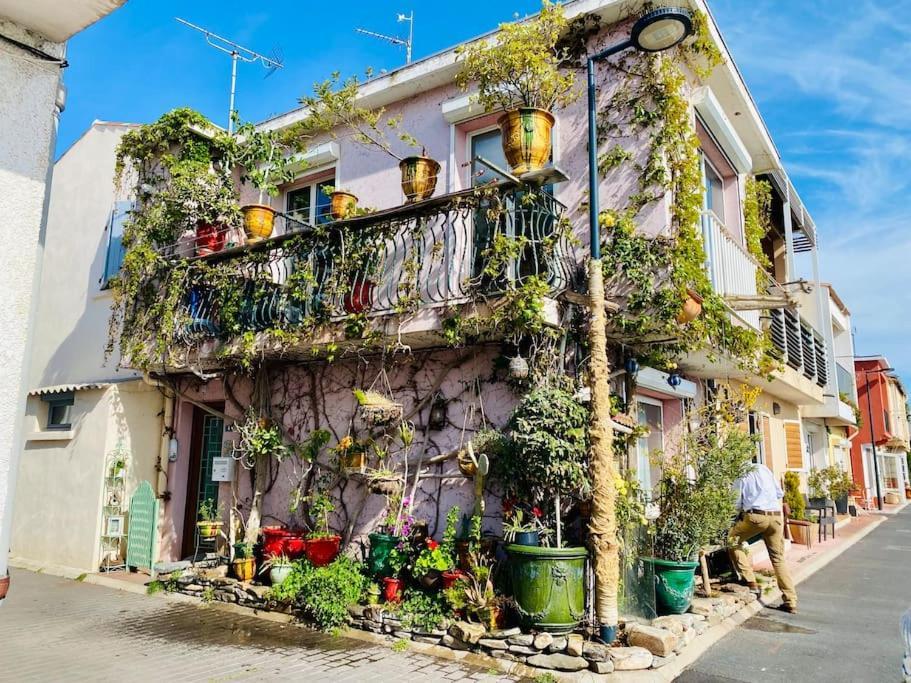 "Le Jardin" Superbe T2 Parking, Clim & Terrasse ! Apartment Sete Ngoại thất bức ảnh